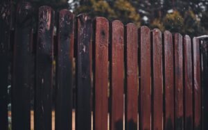 Fence Painting